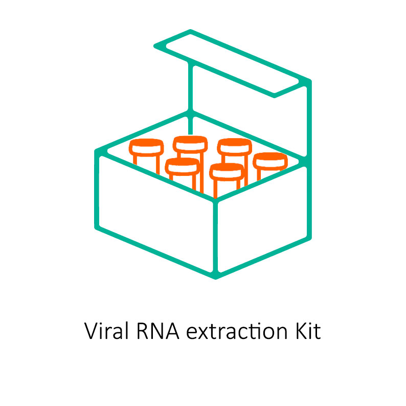 Viral RNA Extraction
