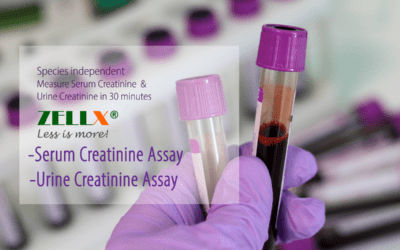 ZELLX® urine and serum creatinine assay kits